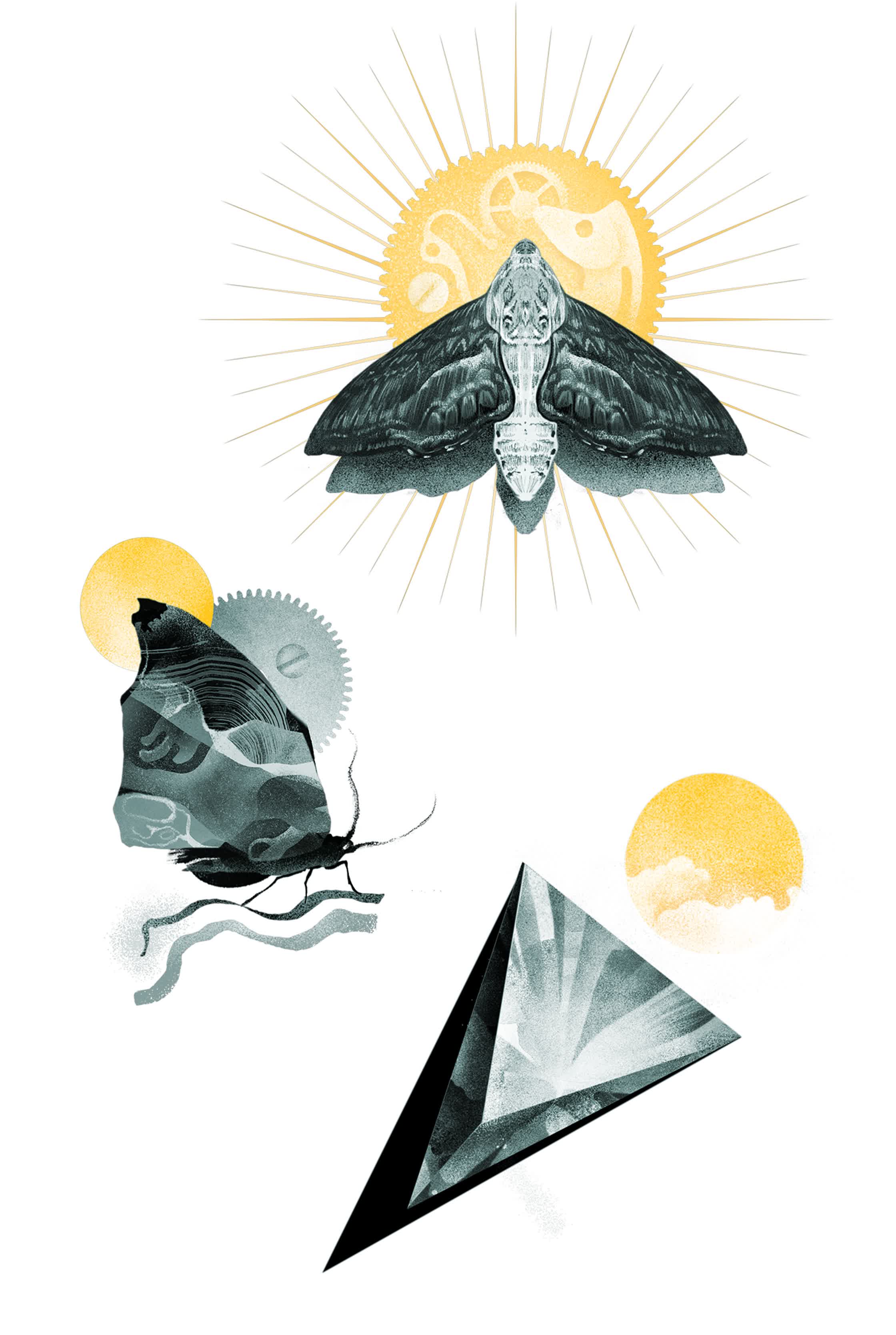 The Ticking Clock 2 - Butterfly Doctrine.jpg