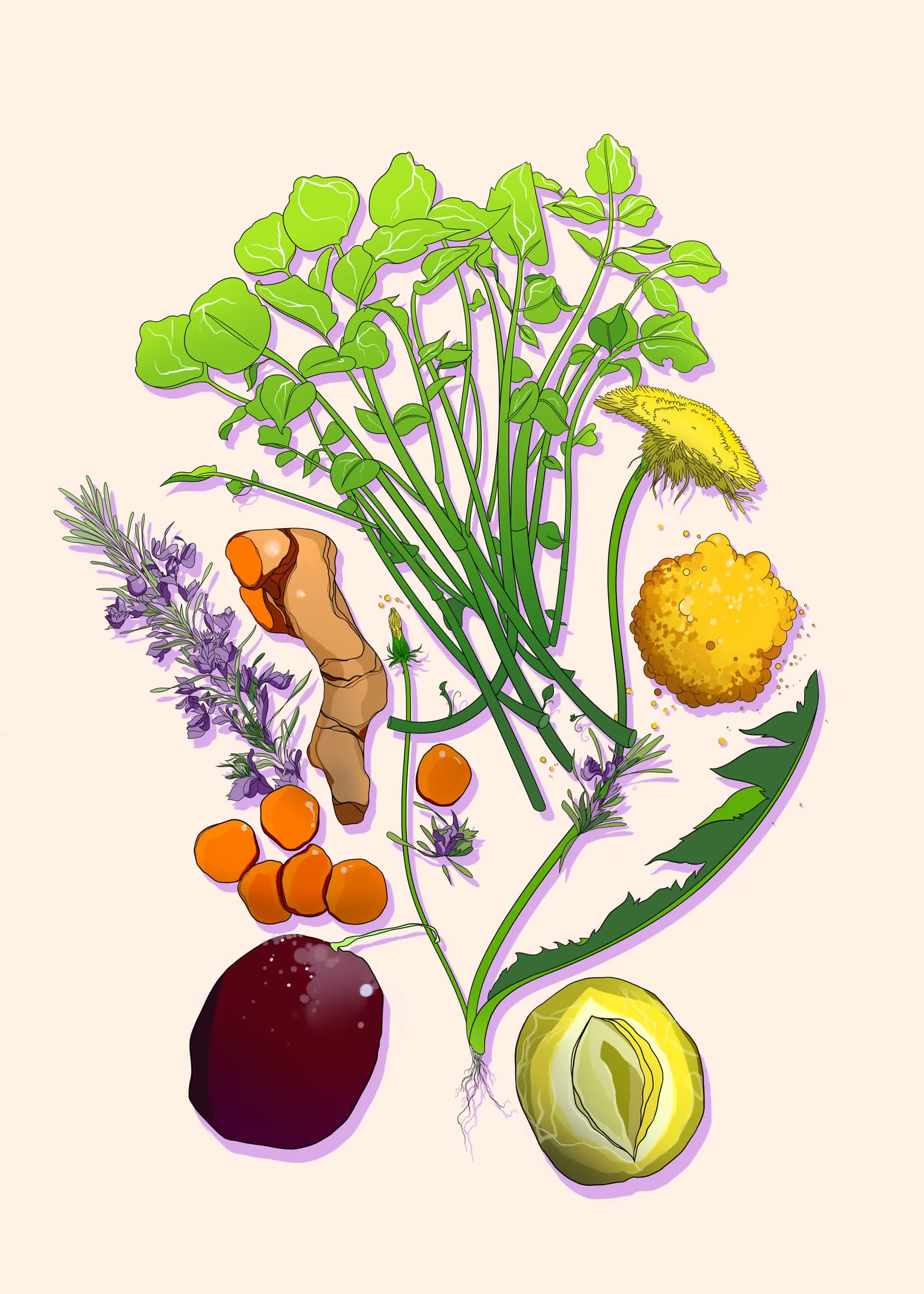 Phytonutrients_Poster_.jpg