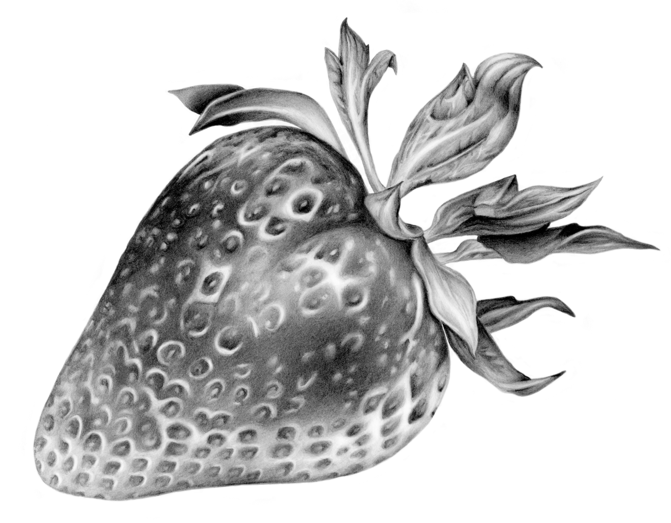 strawberry_THIS_one.jpg