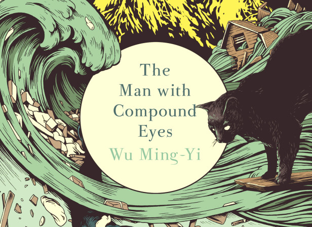The Man with Compound Eyes Book Cover
