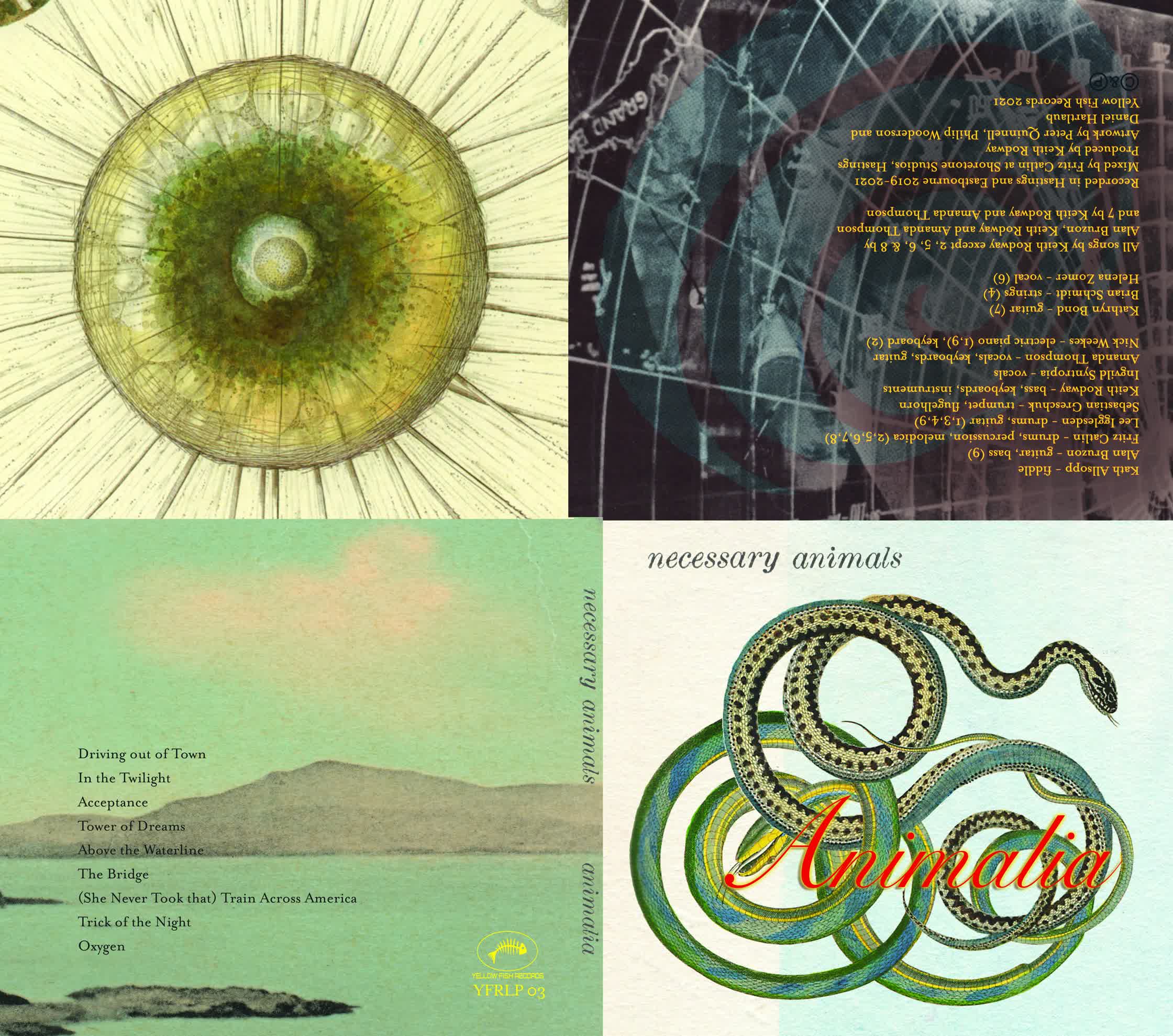 CD jewel case  animalia web.jpg