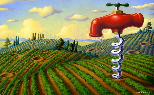 Law Journal/ Corkscrew Vineyard