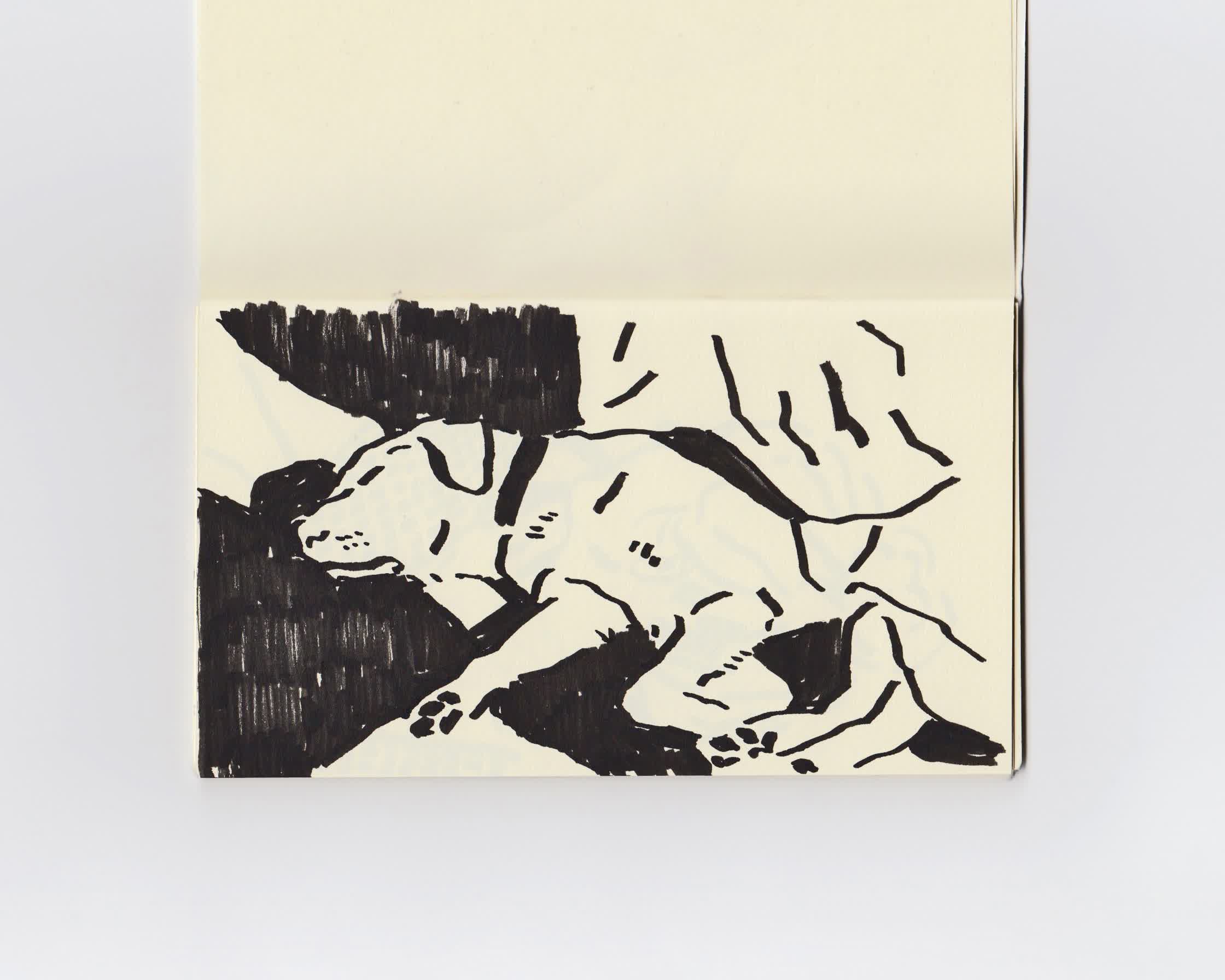 SKETCHBOOK_PAGE:'DOG':PEN_AND_INK.jpg