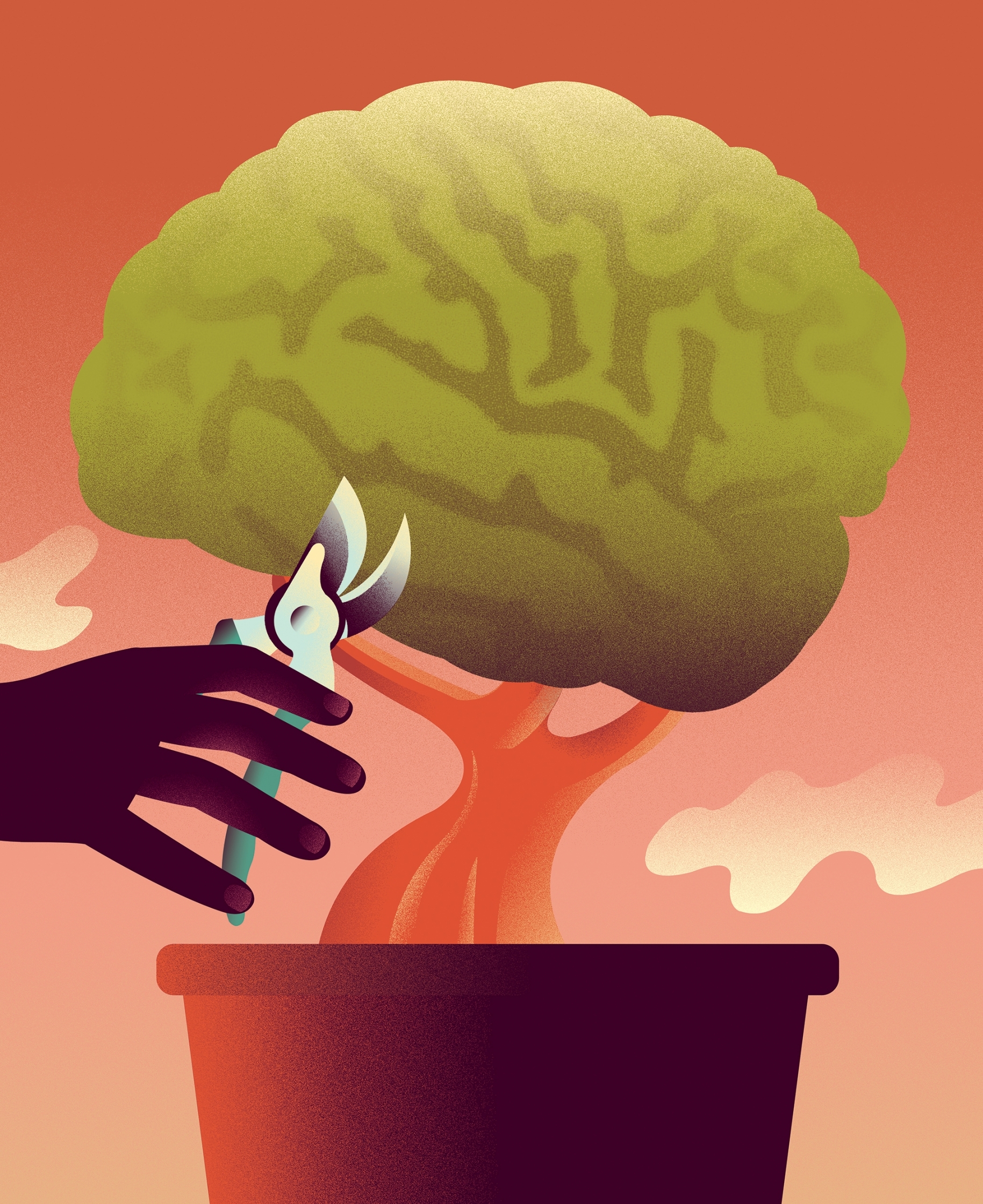New Scentist_brain development1.jpg