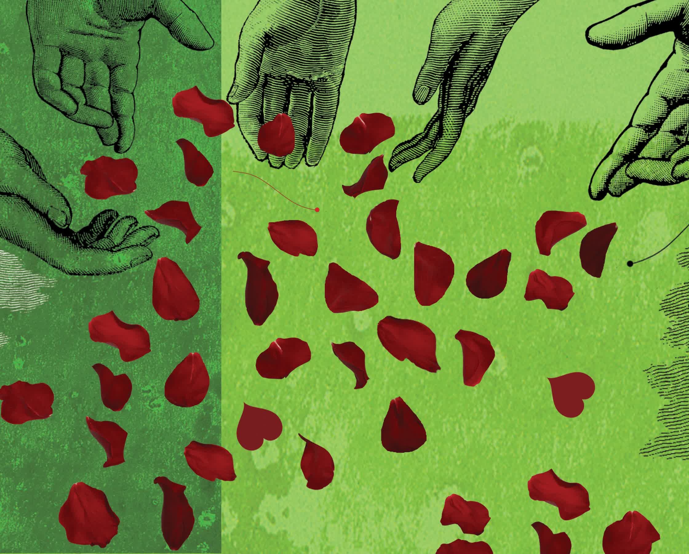 Petal throwing - Guardian Newspaper.jpg