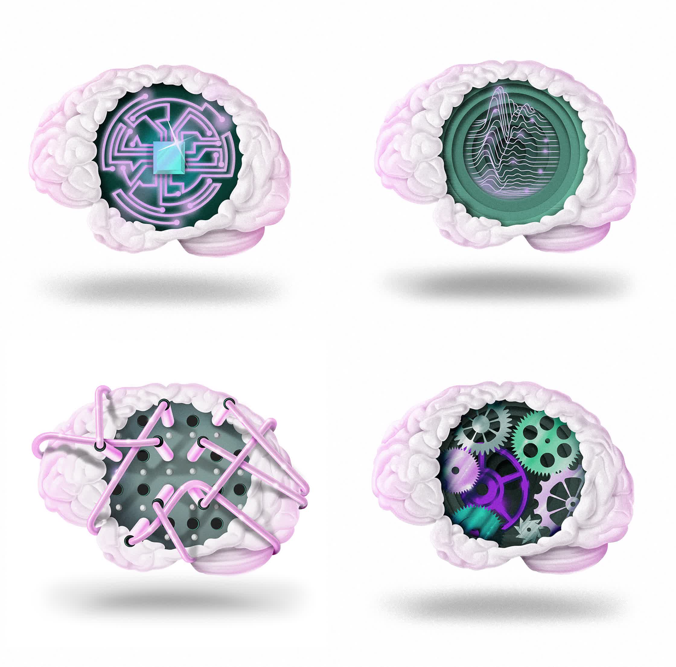 About Trust Mag_Genealogy of the BRain_Spots.jpg