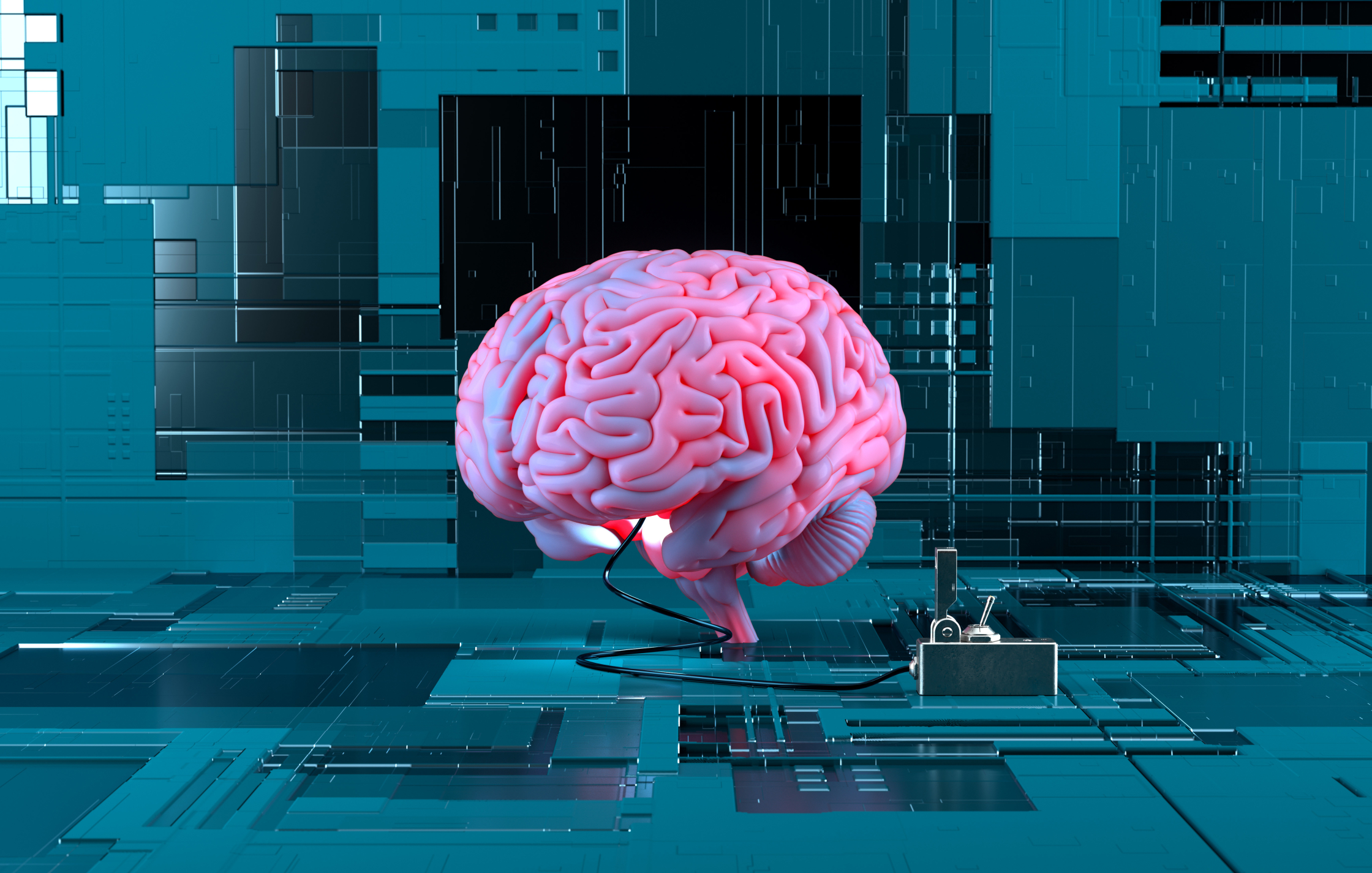 BRAIN1B.jpg