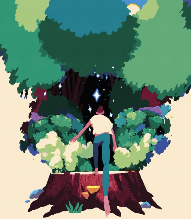 Or Life In The Wood / Apolide Festival
