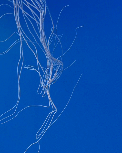 Wire Head