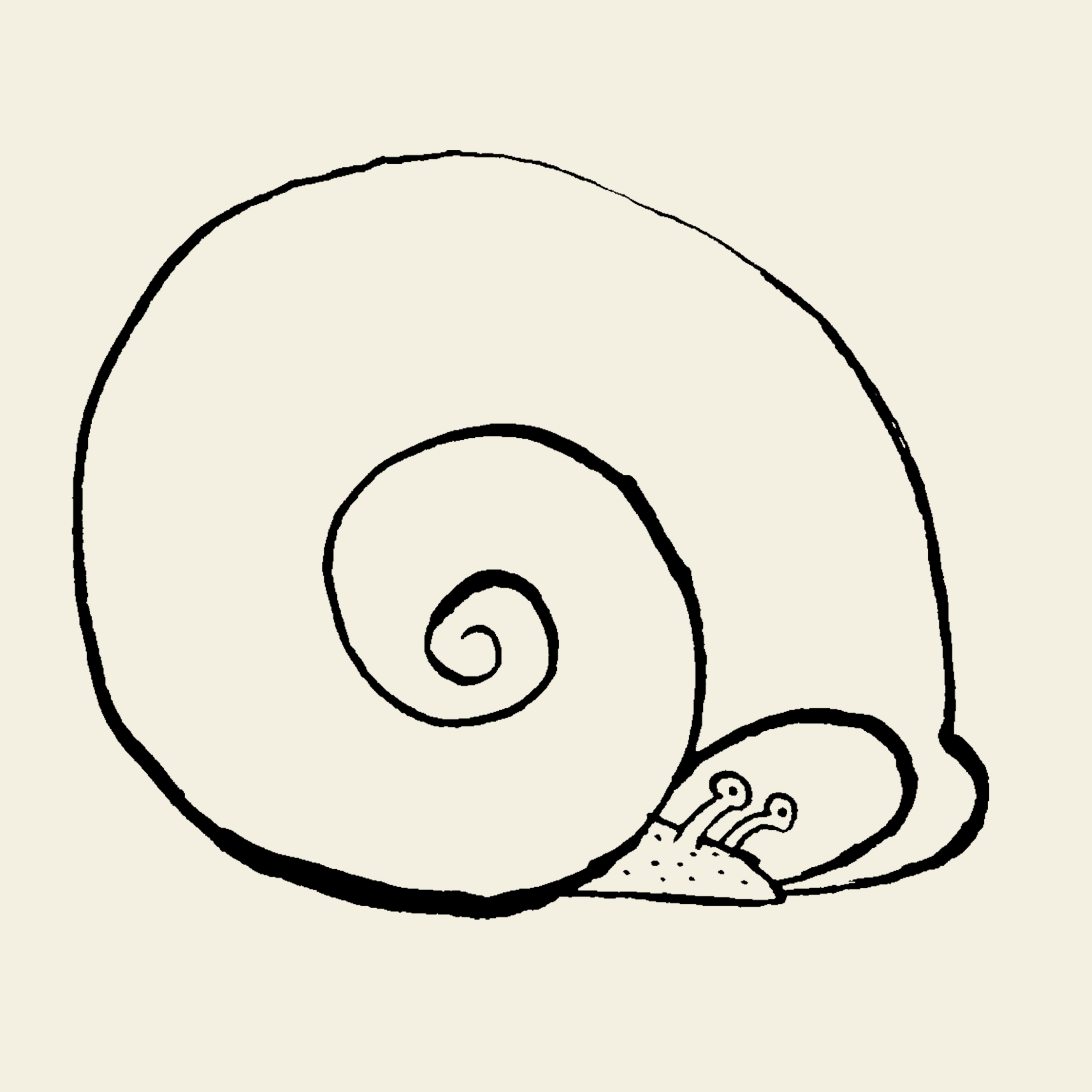 Streich-linedrawing-at-home.jpg