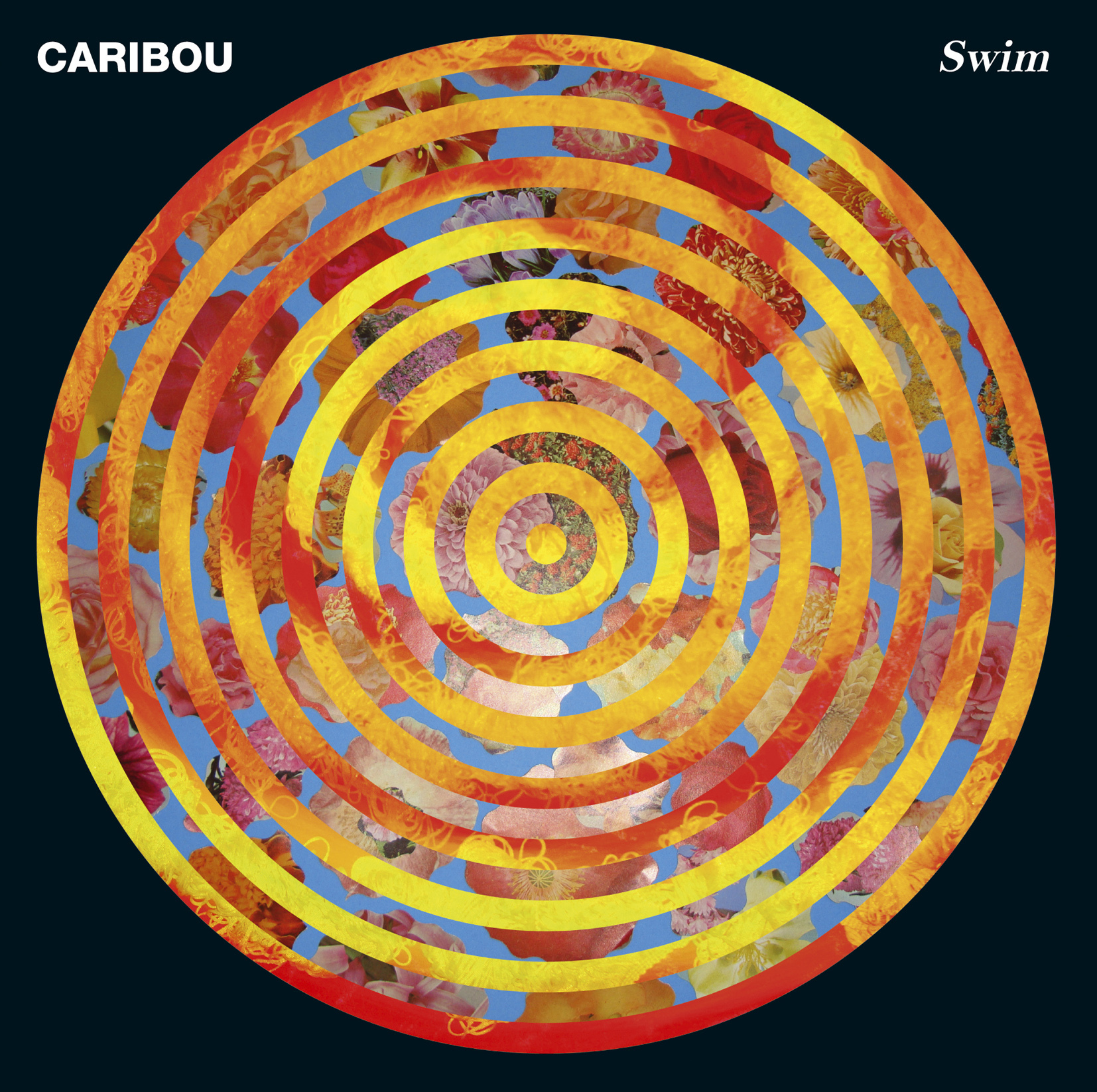 cover v Album   Cover Swim Debut  Caribou / Matthew  Cooper Art