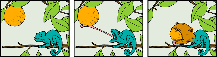 Personal-Chameleon_Strip.jpg