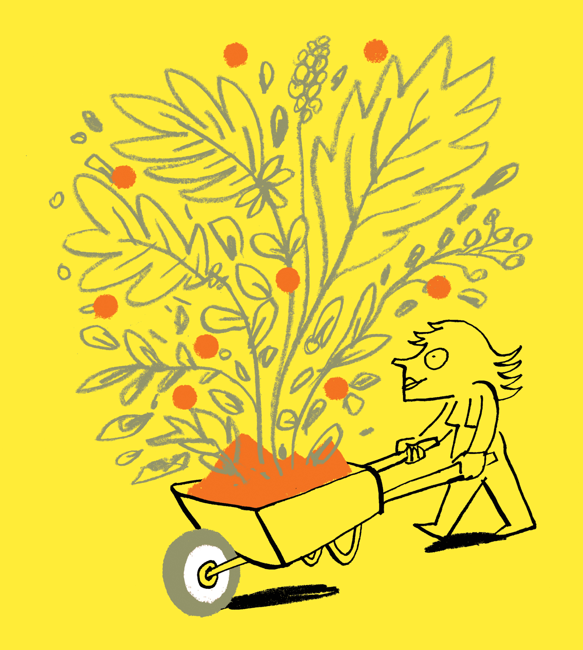 Streich-businesses-organic-gardening.jpg