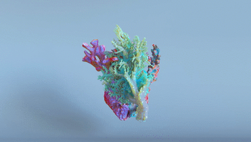 Coral