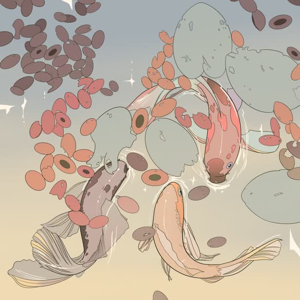 Koi / Self-initiated