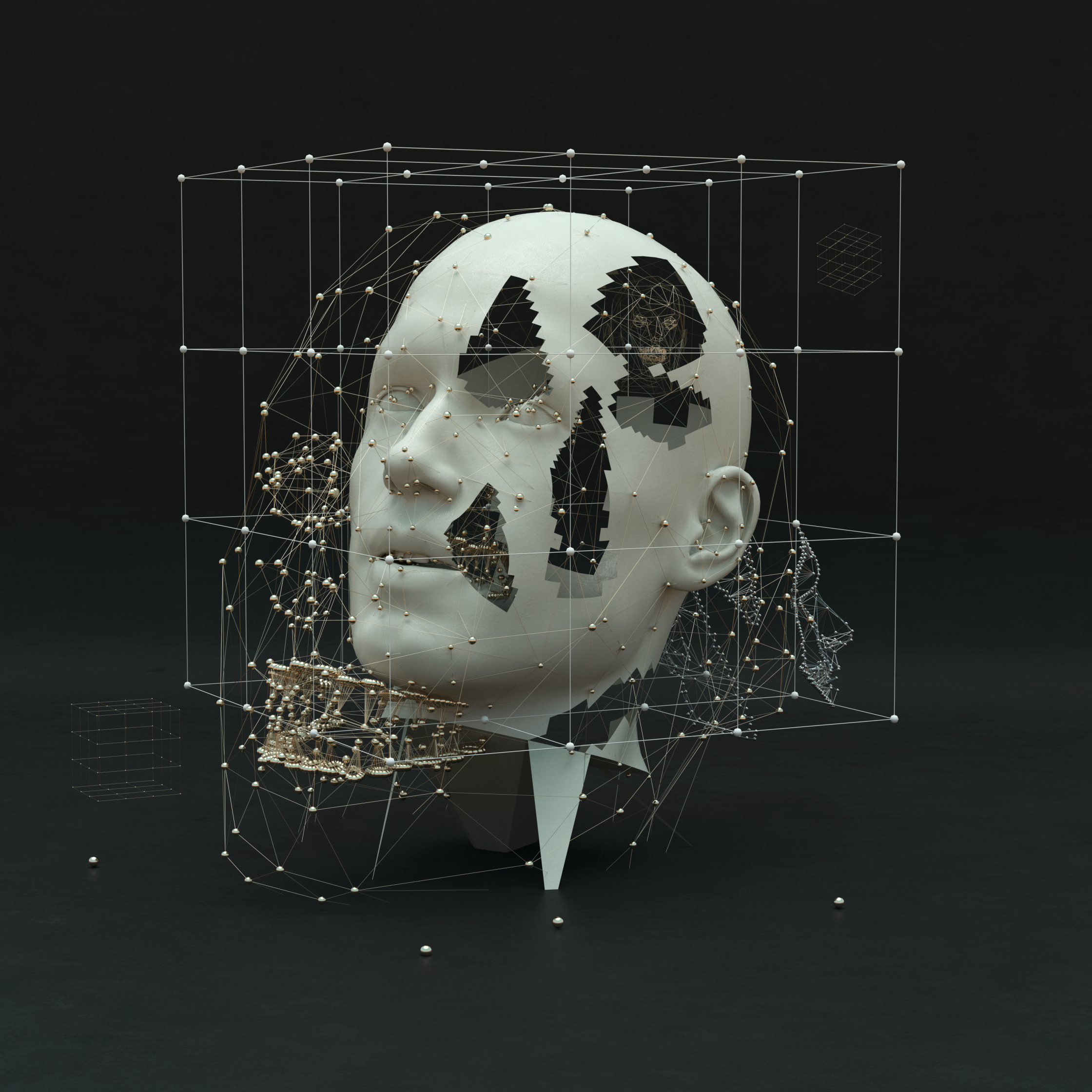 jc_head.jpg