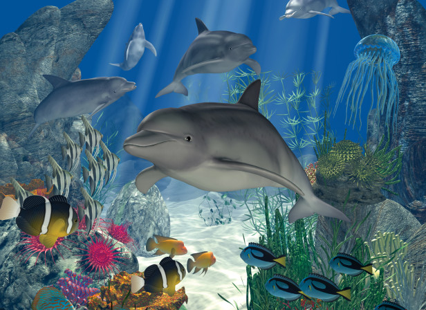 Underwater Sea Life Poster