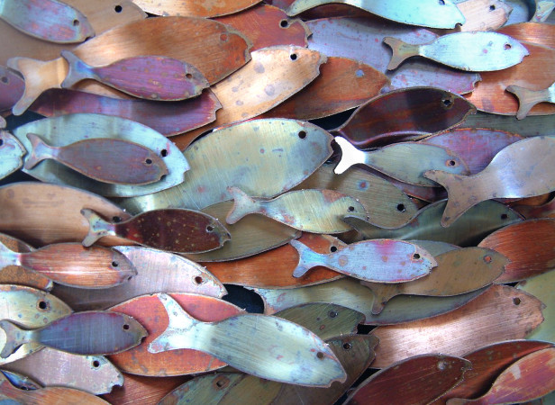 Copper Fish Caymen Islands