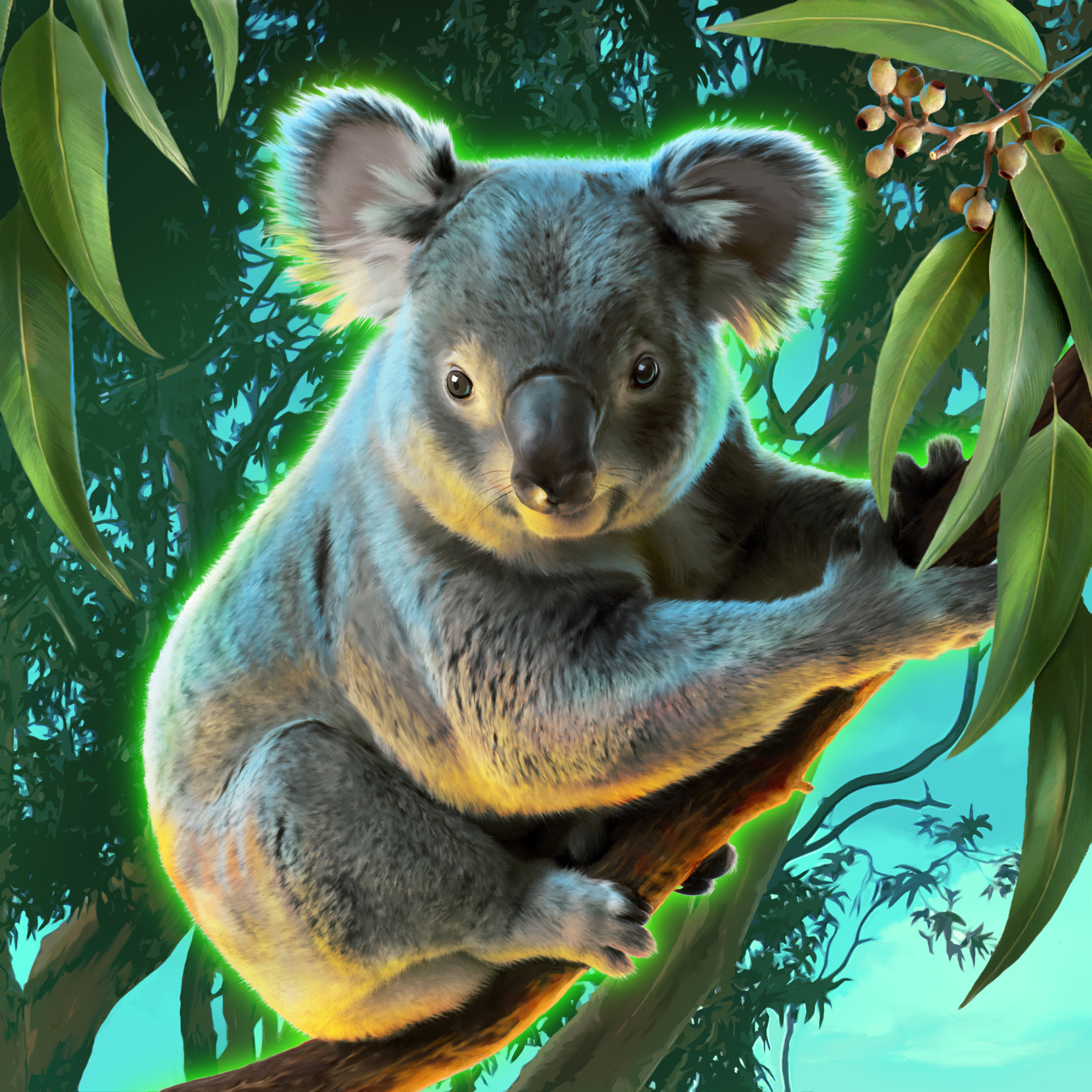 Koala DownUnder