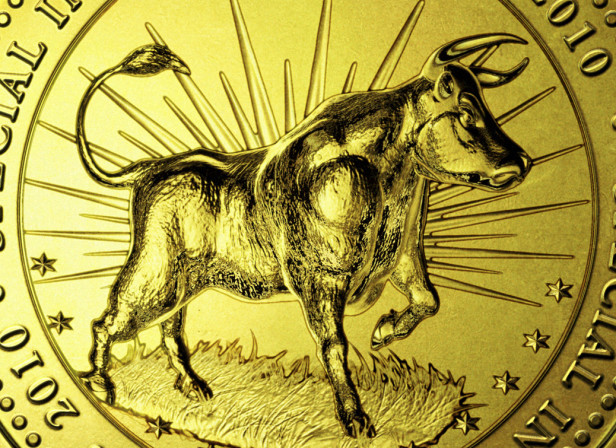 Gold Coin Bull Market Special Investing Issue