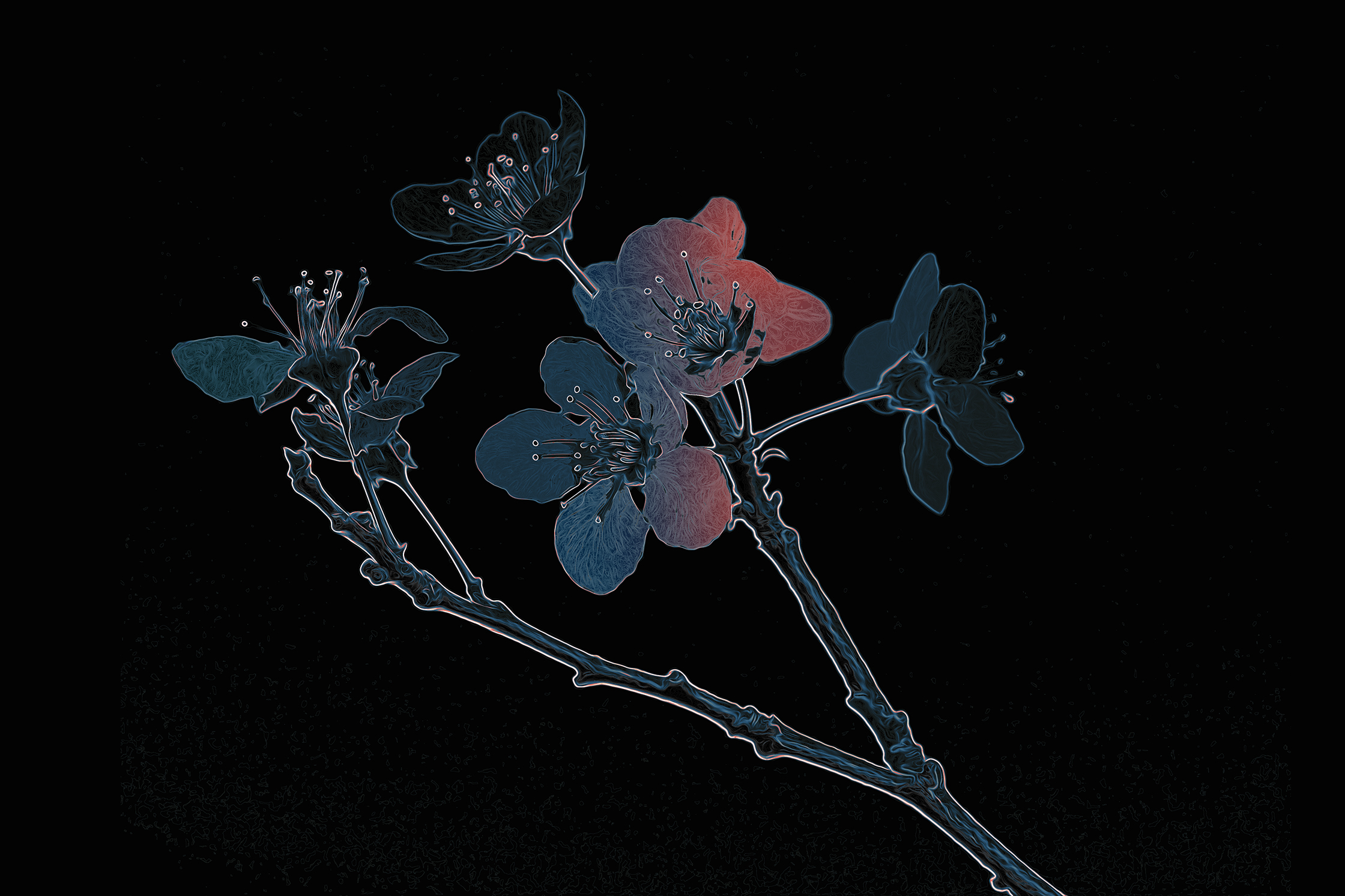 Textile pitch _ Silk scarve.jpg