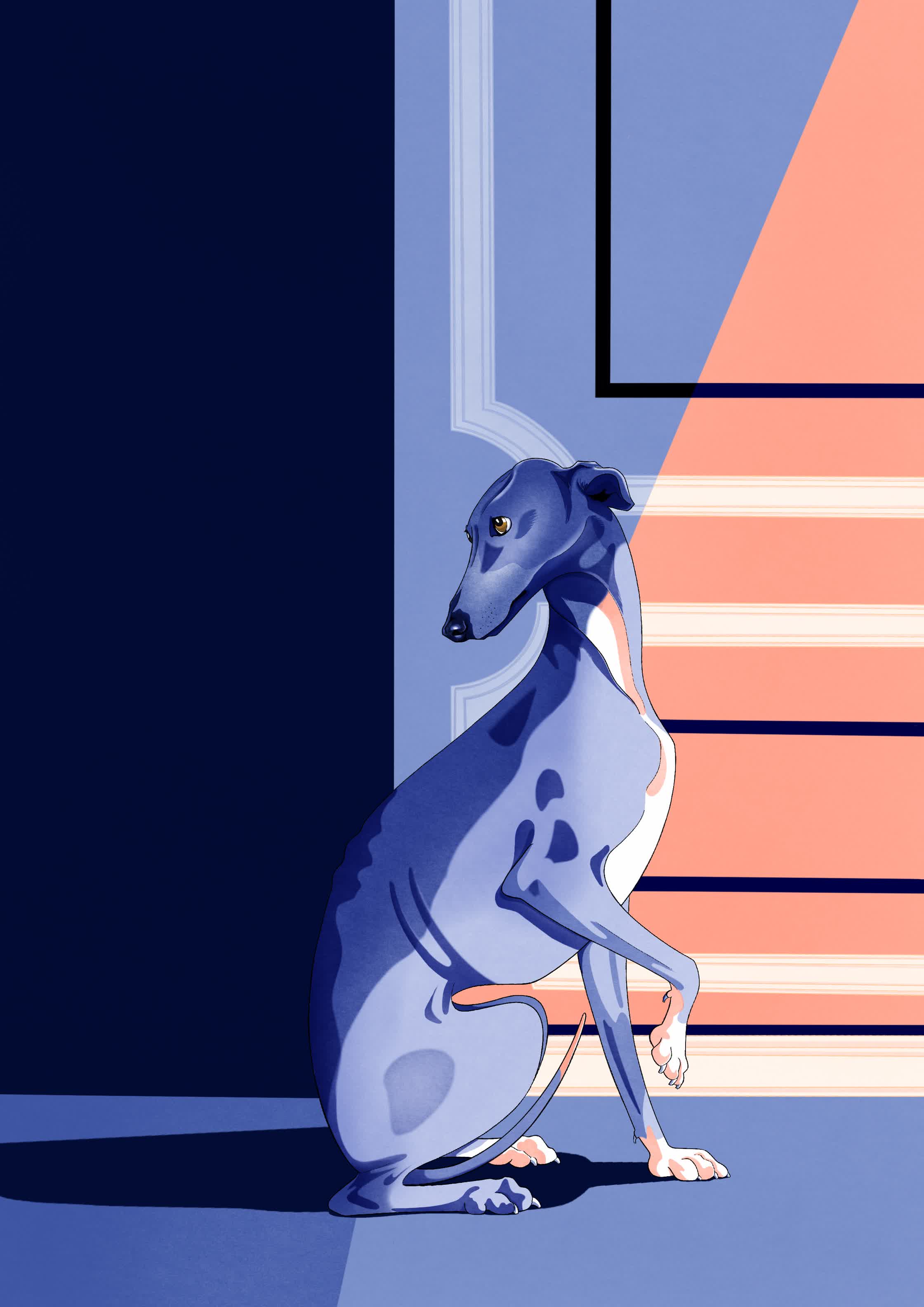 Galgo_PersonalProject.jpg