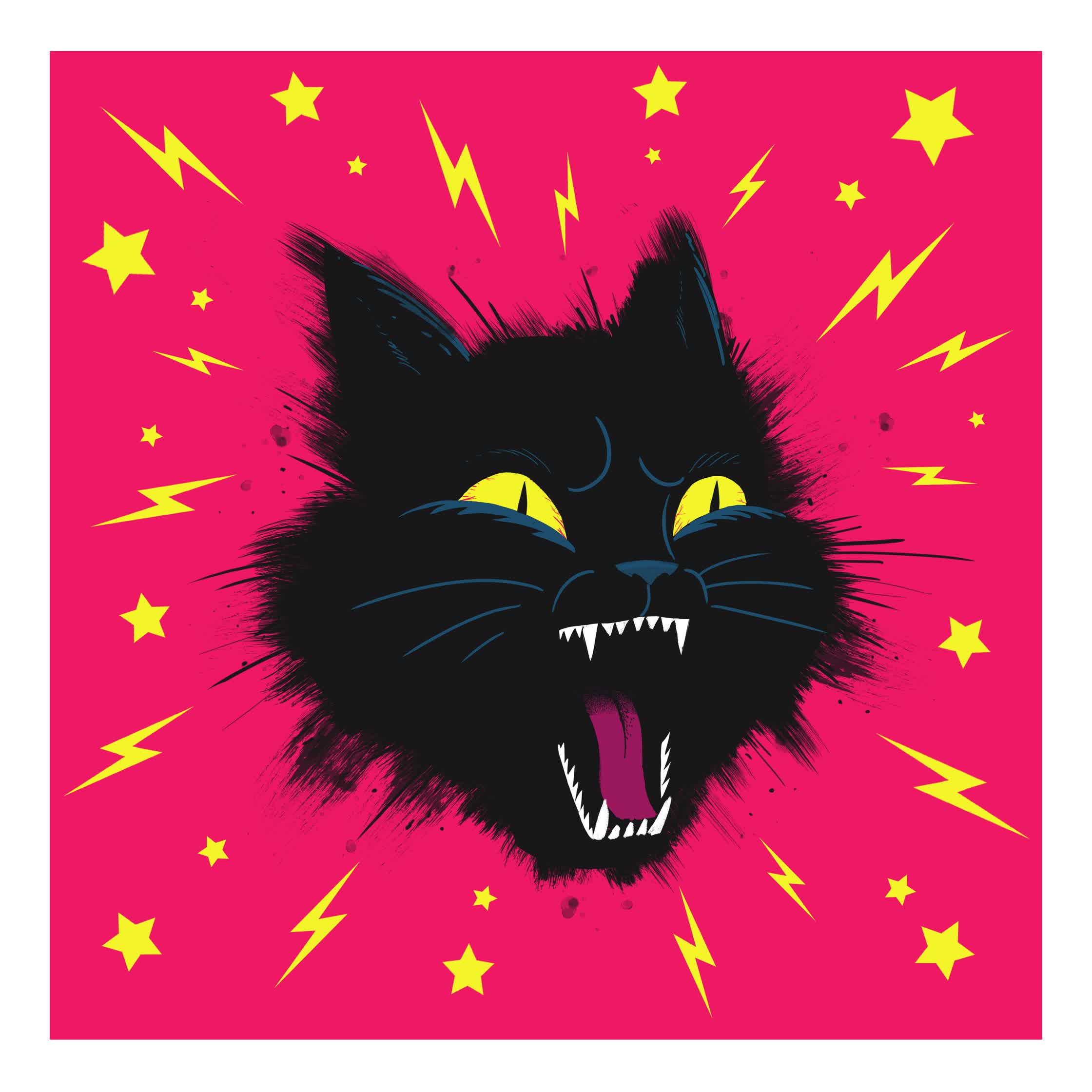 kitty_2017.jpg