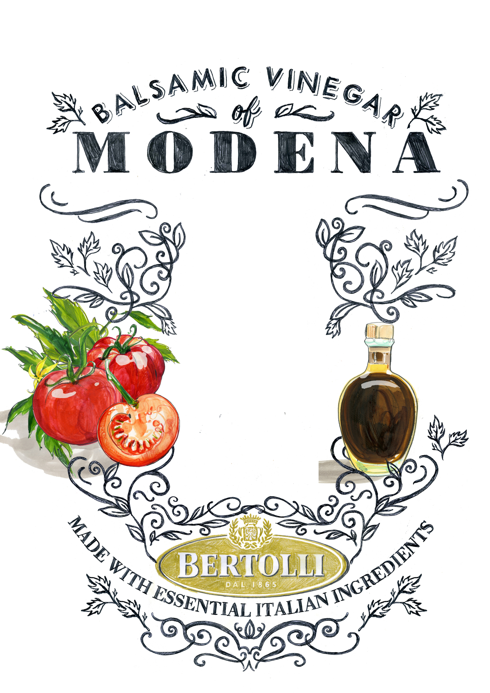 Bertolli Modena Tomatoes Balsamic Vinegar