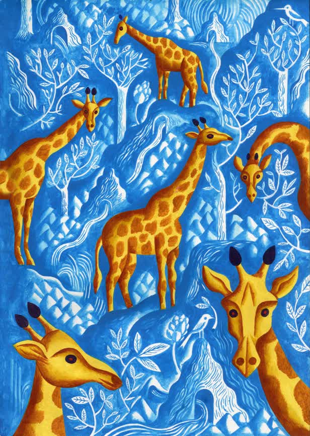Giraffes