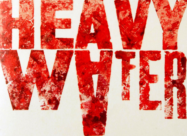 Martin Amis Heavy Water