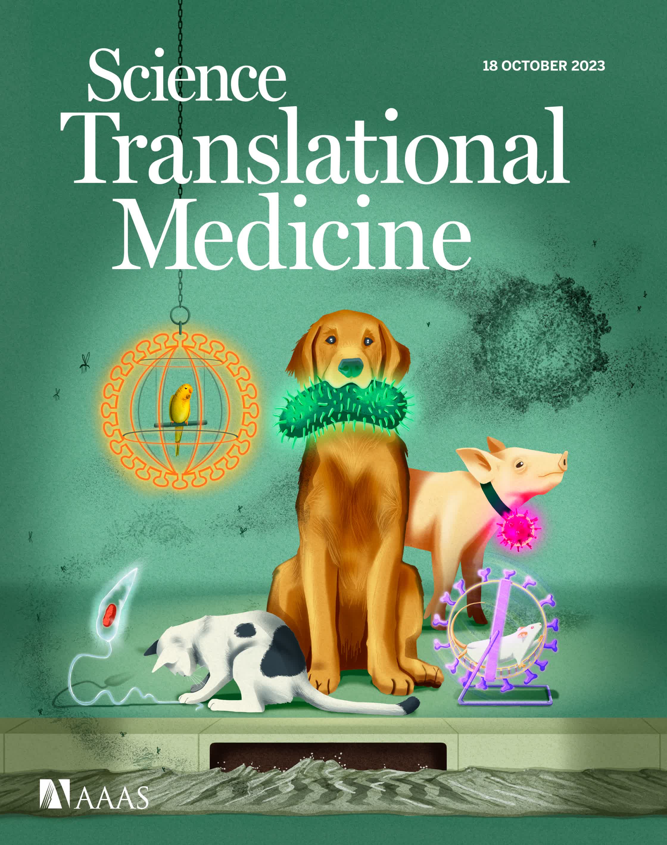 Zoonoses_Cover_ScienceTranslationalMedicine.jpg