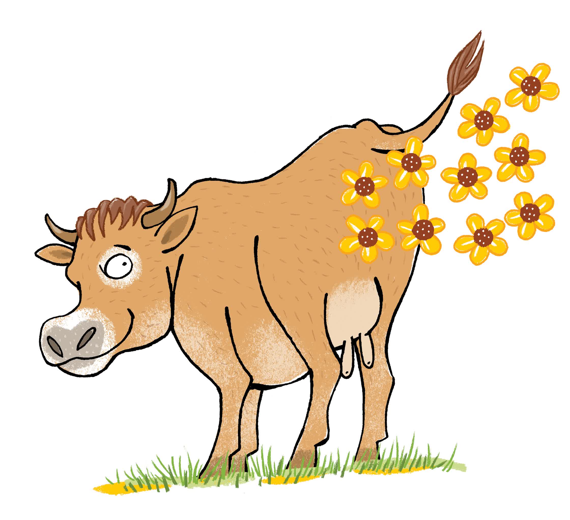 Cow-Australian-Geographic.jpg