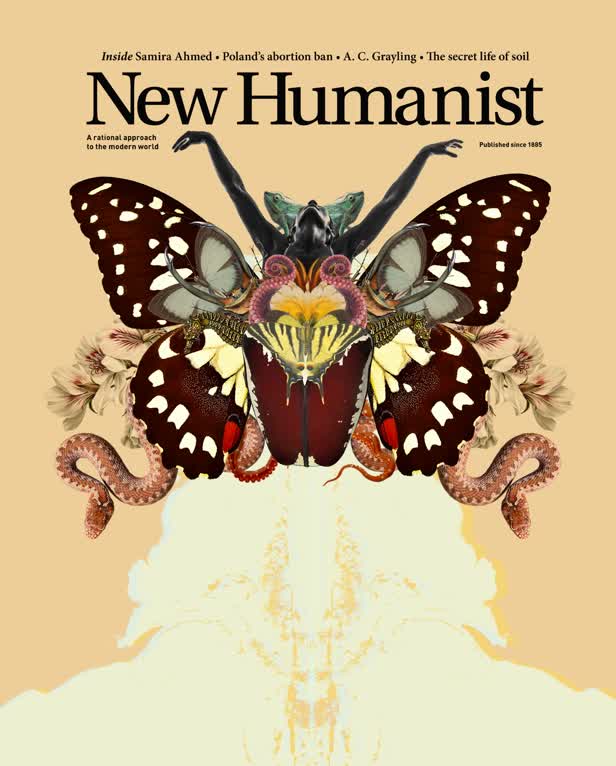 Winter Butterfly / New Humanist