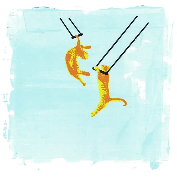 Room to Swing a Cat / Roomzzz