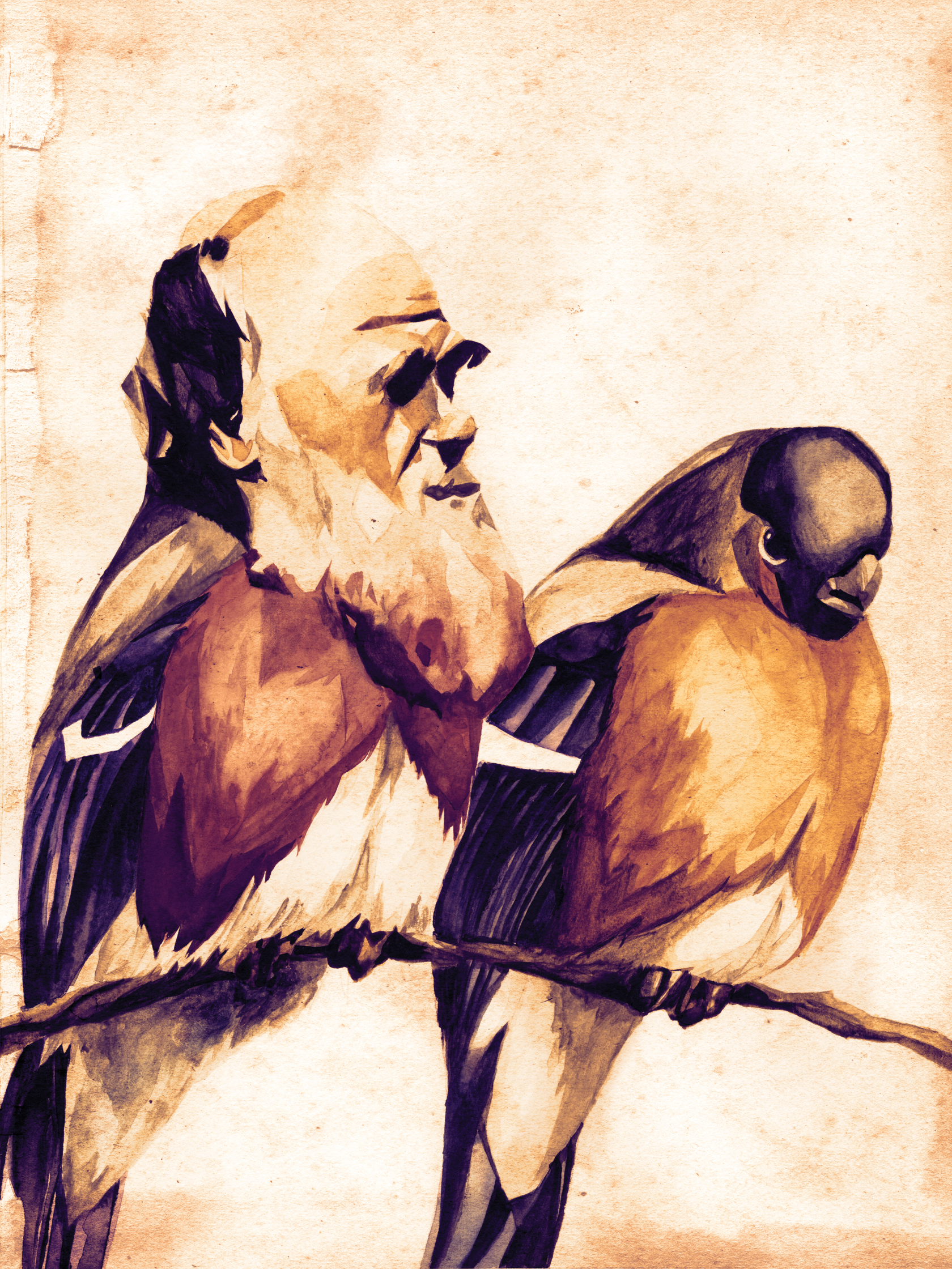 56_darwinsfinches.jpg