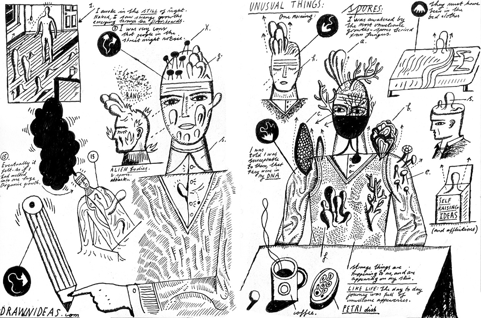 Coffee Bar Drawings