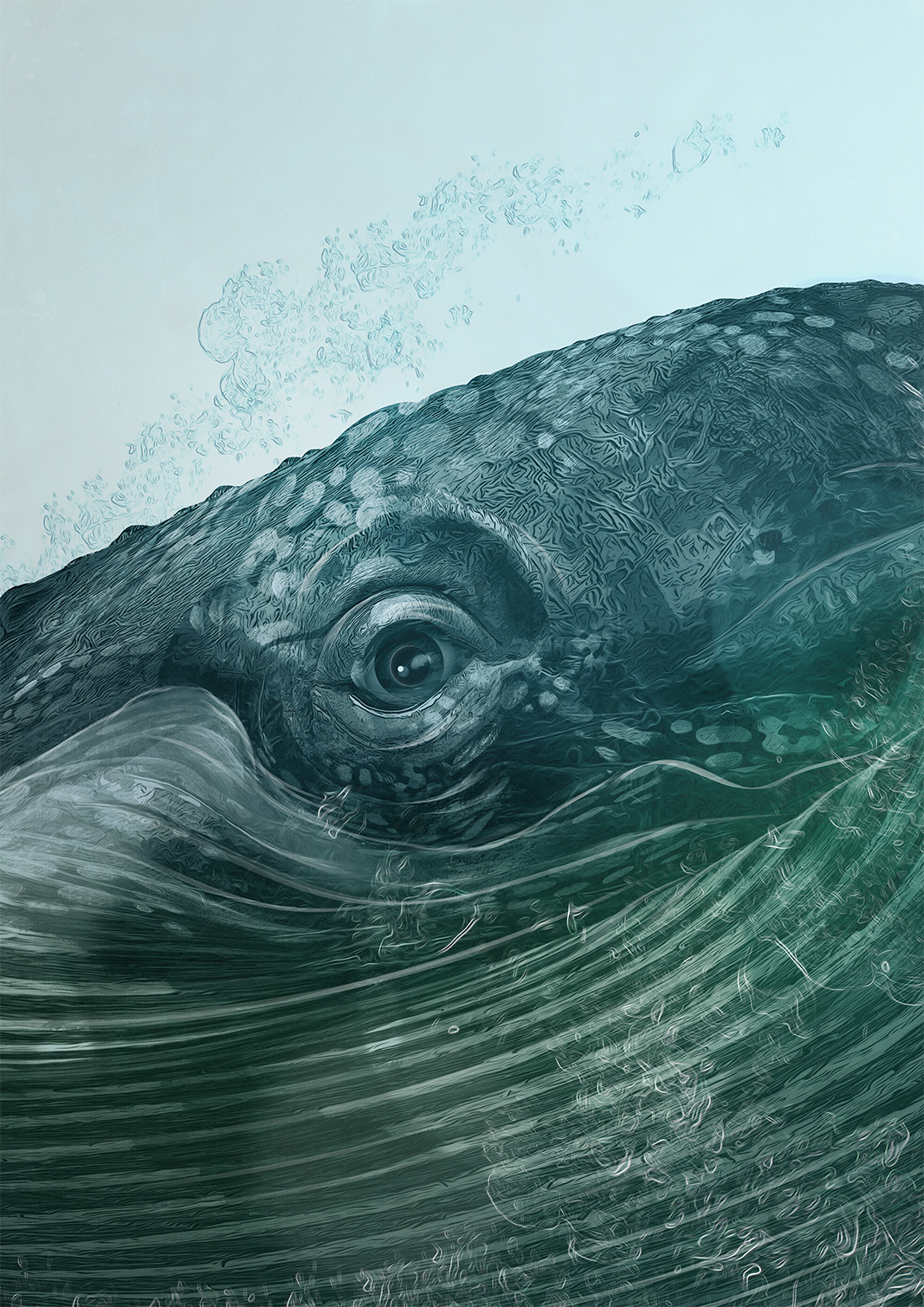 The Guide _ Whale illustration.jpg