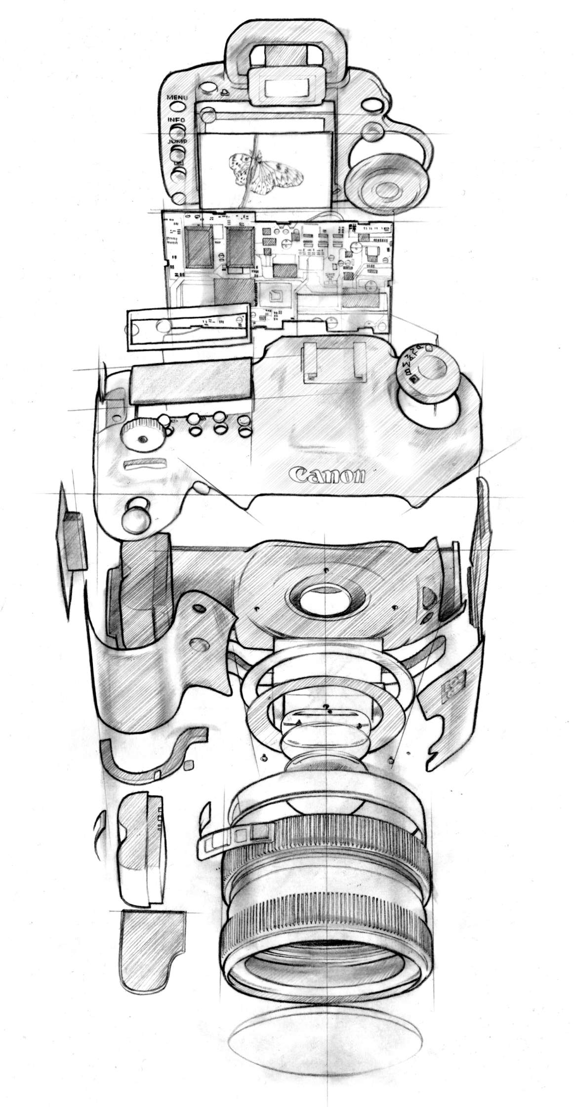 Cannon SLR / Dorling Kindersley - James Carey - Debut Art