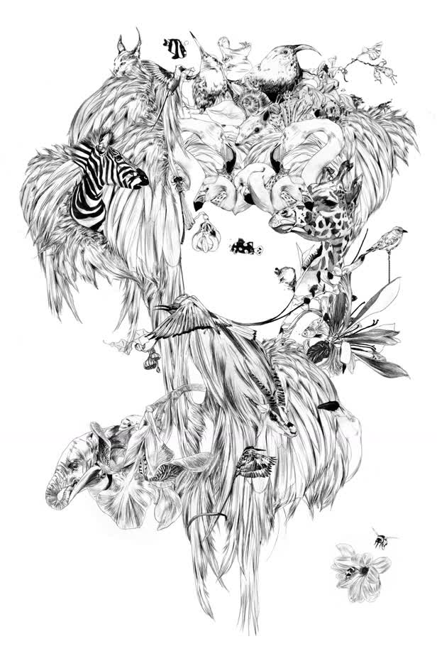 Jungle