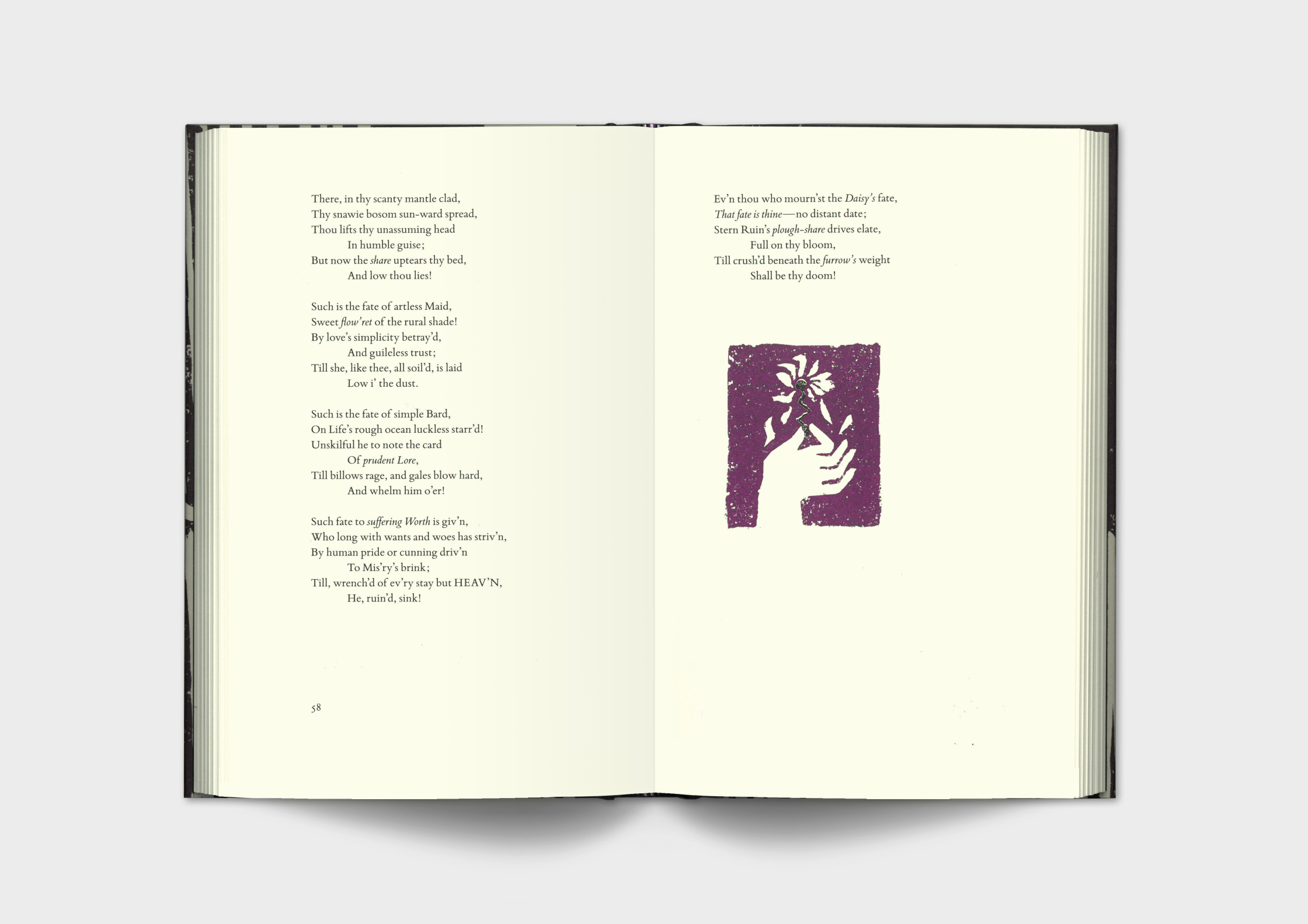 adult folio adult folio