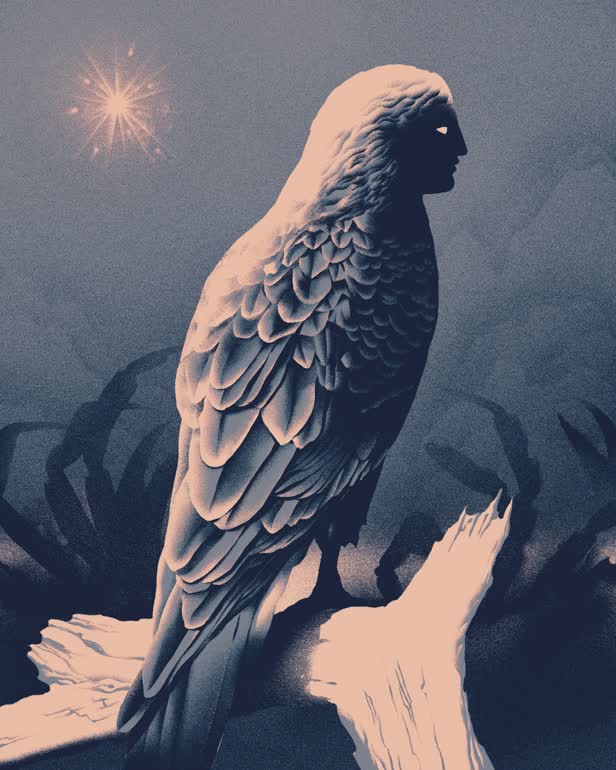 The Morning Star Book Review / The New Yorker