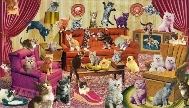 Count my Kittys / Frobisher Says Game / SONY PSvita