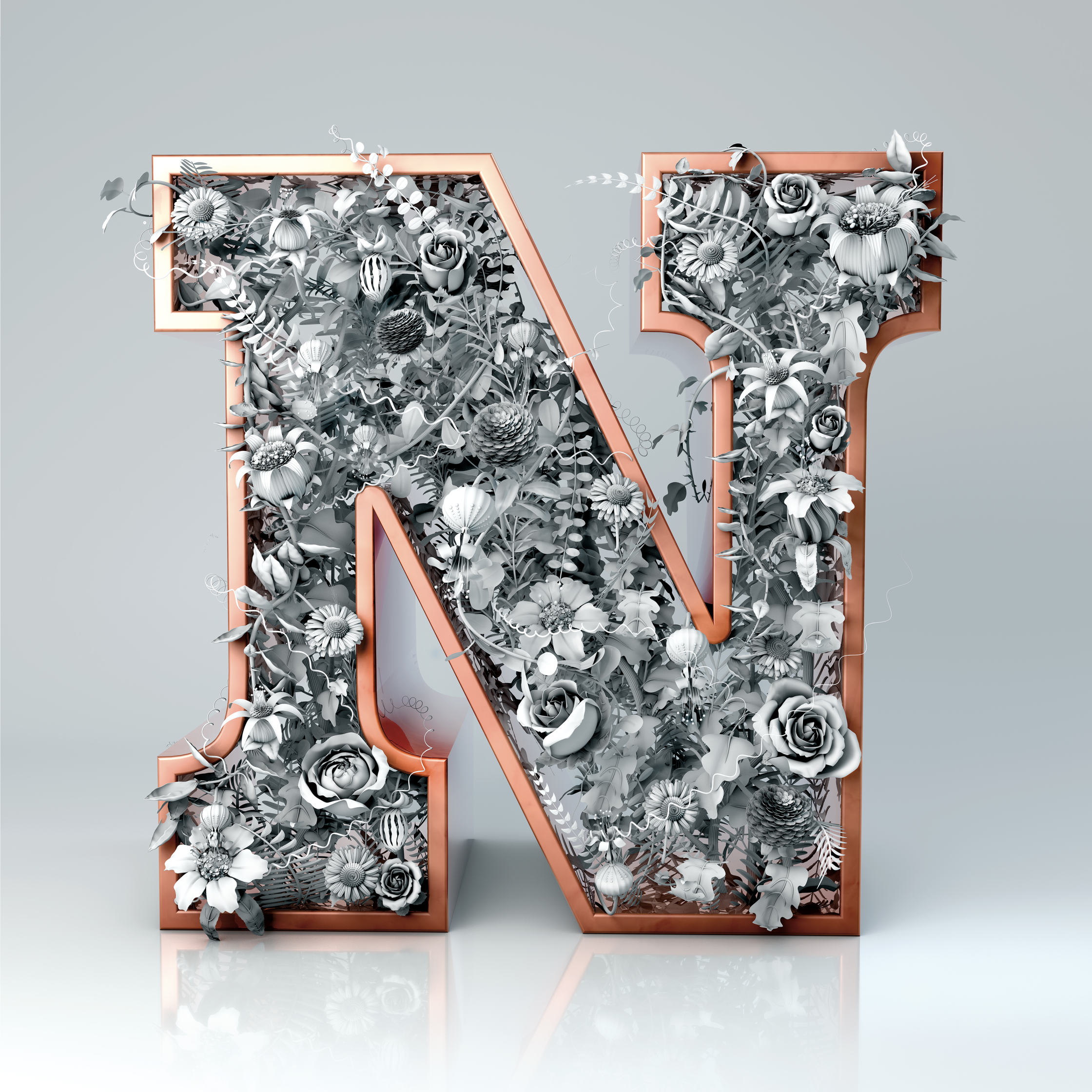 53.N for nature.jpg