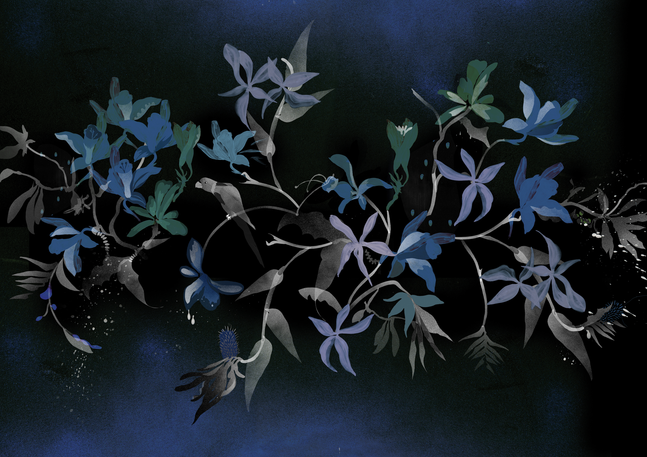 ChristinaK_Nocturnal_unpublished.jpg
