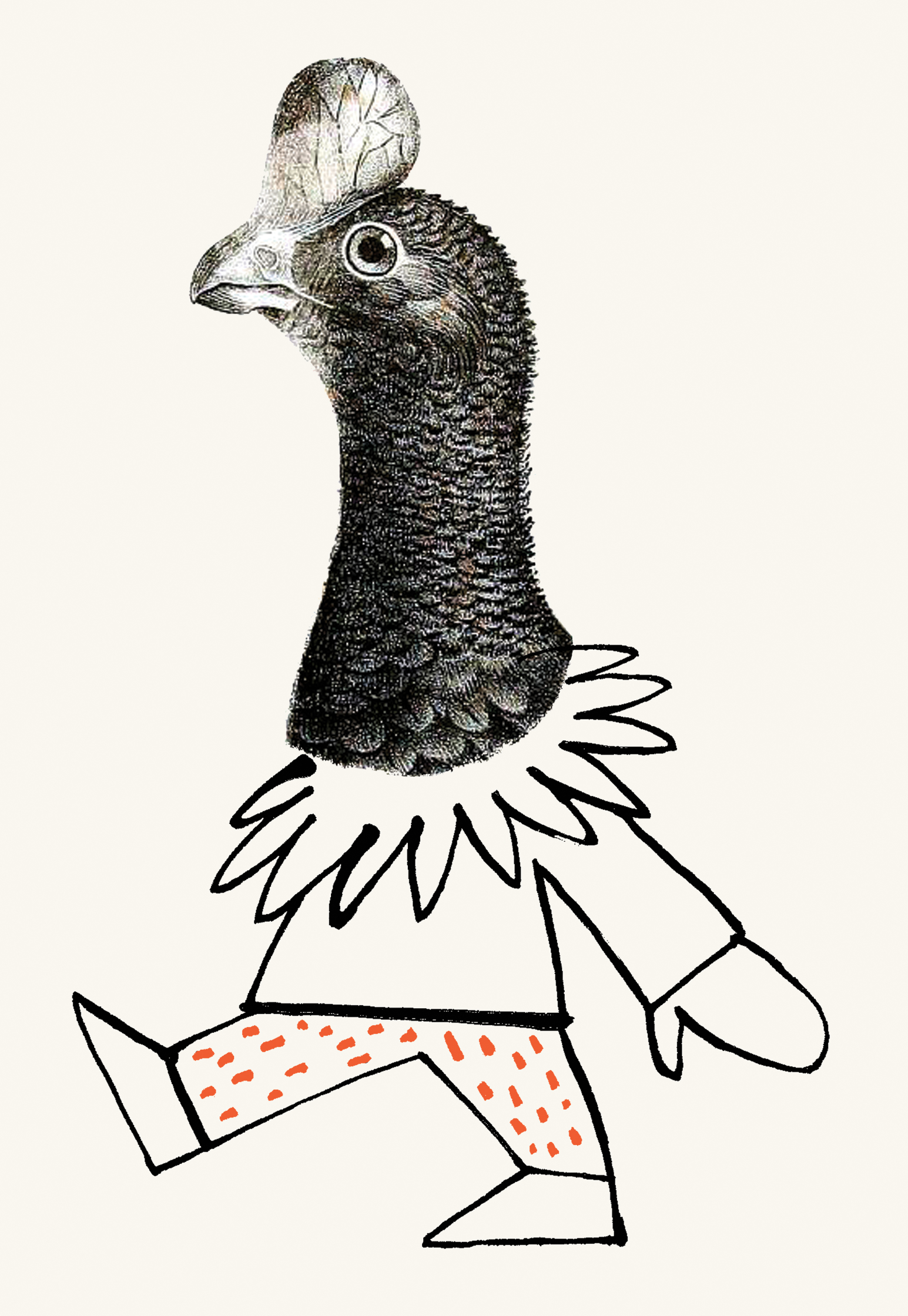 Streich-collage-chicken-suit.jpg