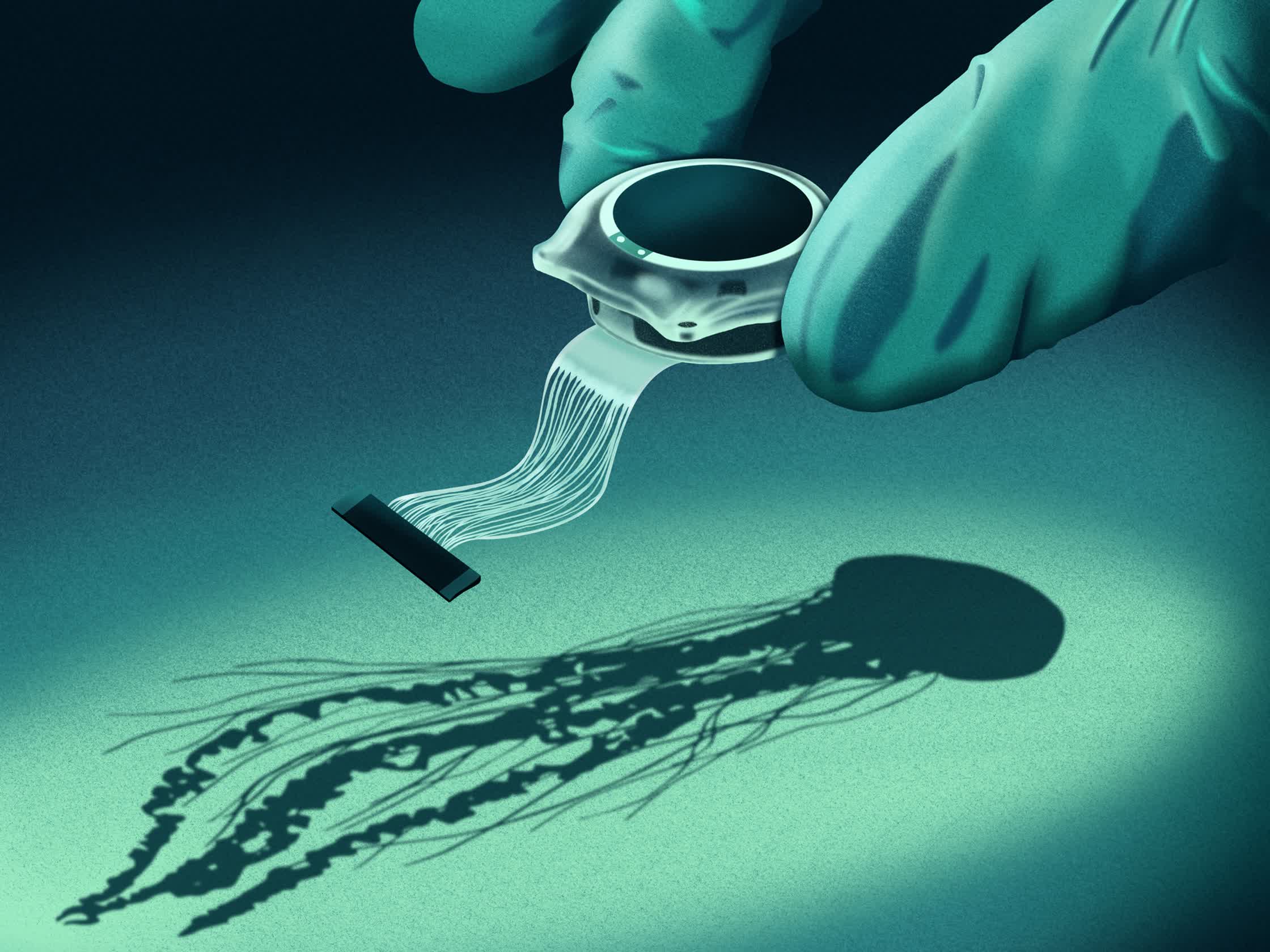 MuskBrainChip_AlMajalla.jpg