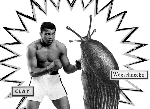 Boxing Mohammad Ali Slug