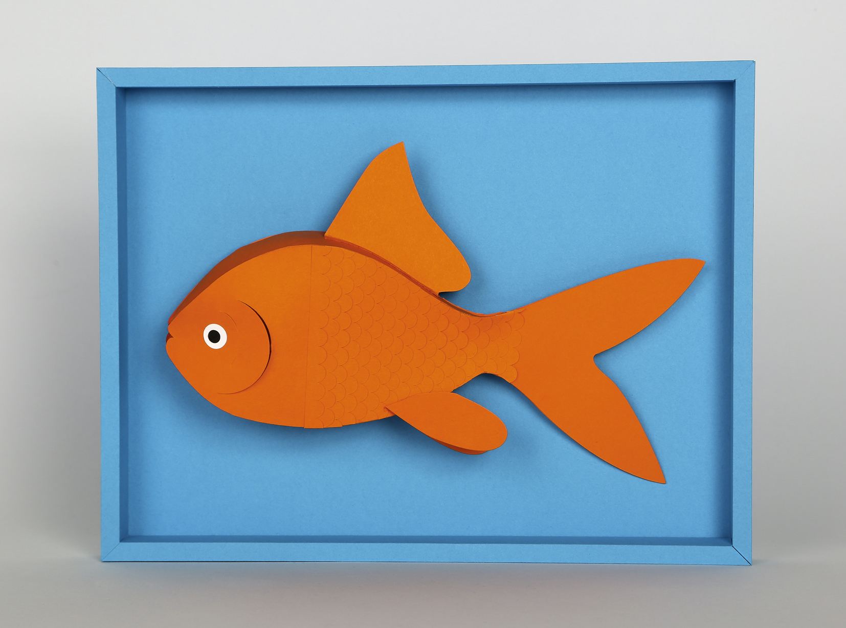 Fish / Ted Baker
