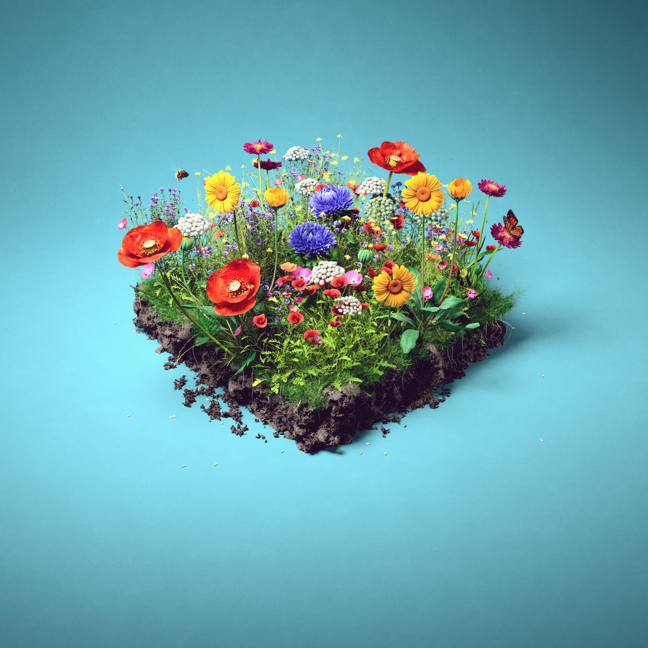 DieZeit_One-Metre-Earth.jpg