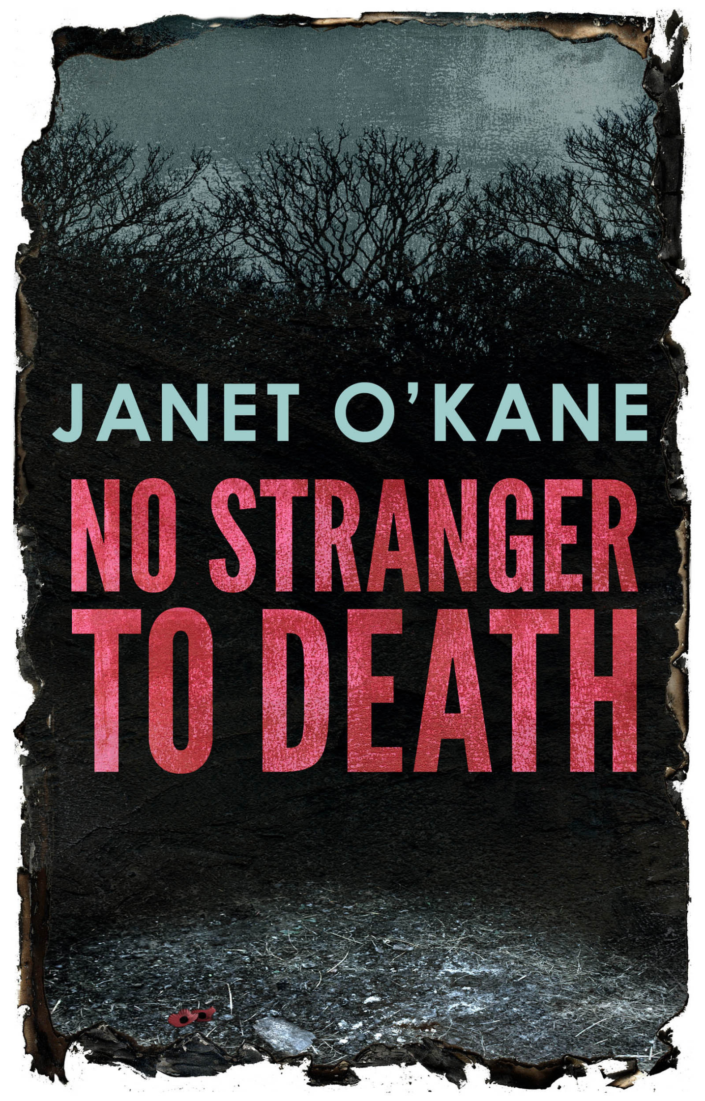 eBook Cover / No Stranger to Death / Janet O'Kane
